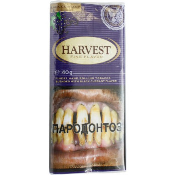 Табак сигаретный Harvest Black Currant (30 г)
