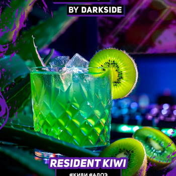 Табак для кальяна "Дарксайд" Экспириенс (Резидент Киви) (Киви, Алоэ) 30 г